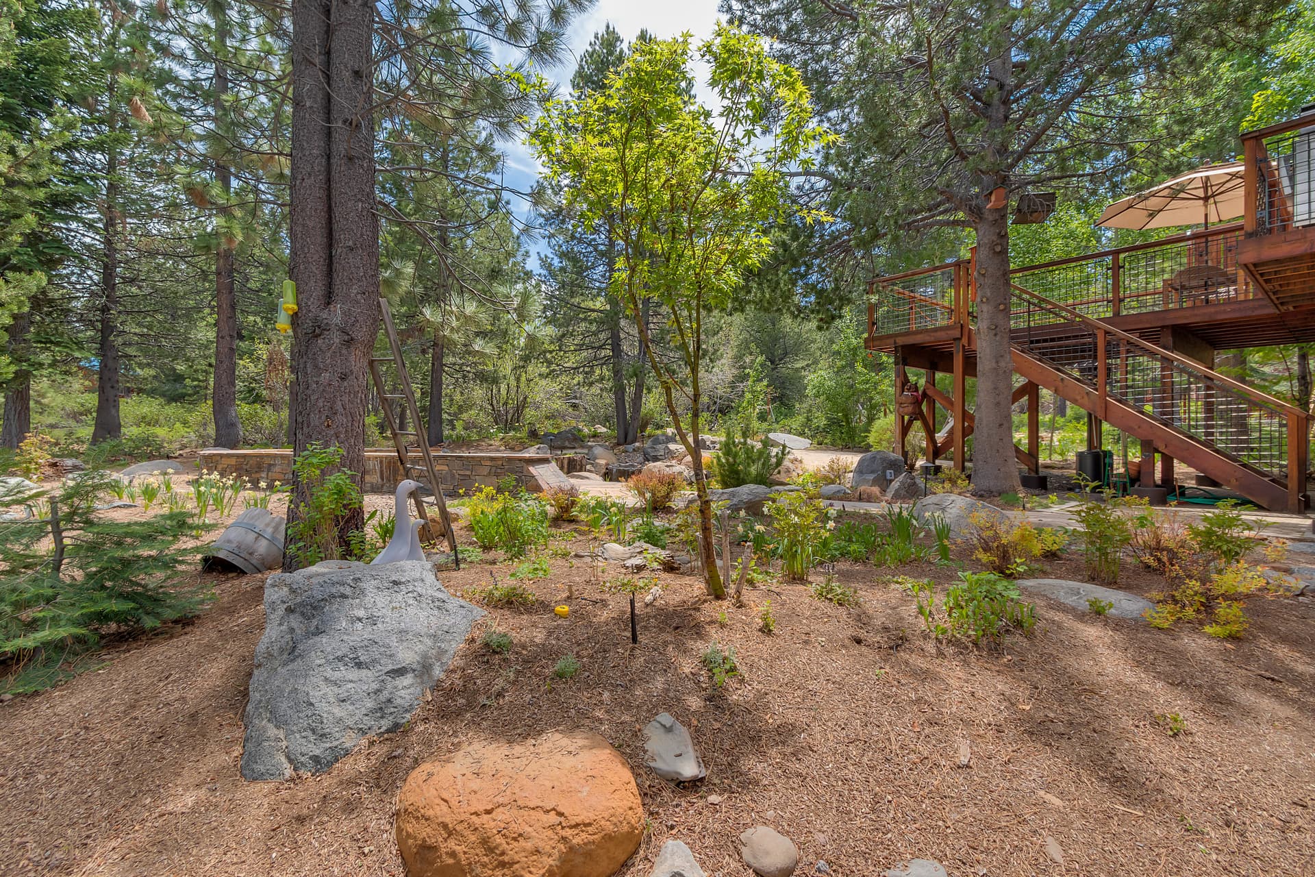 Hawk's Peak in Tahoe Donner - Image 19