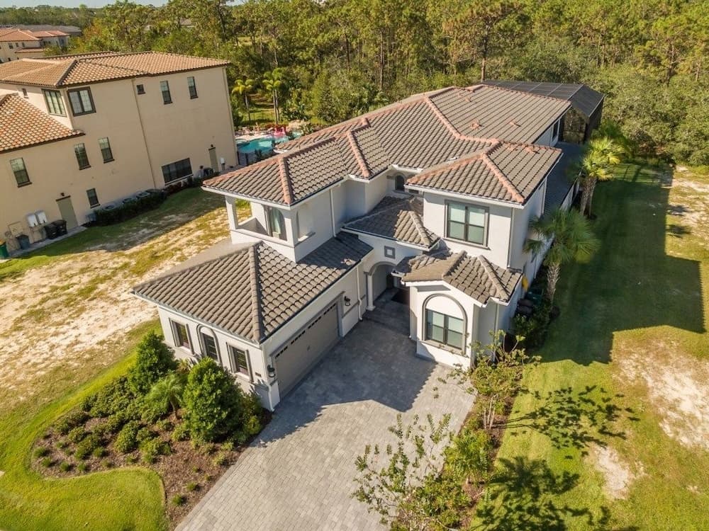 Florida Daydream - Image 1