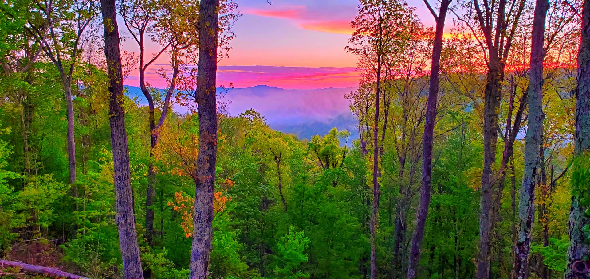 Heritage Lodge Home - Image 6