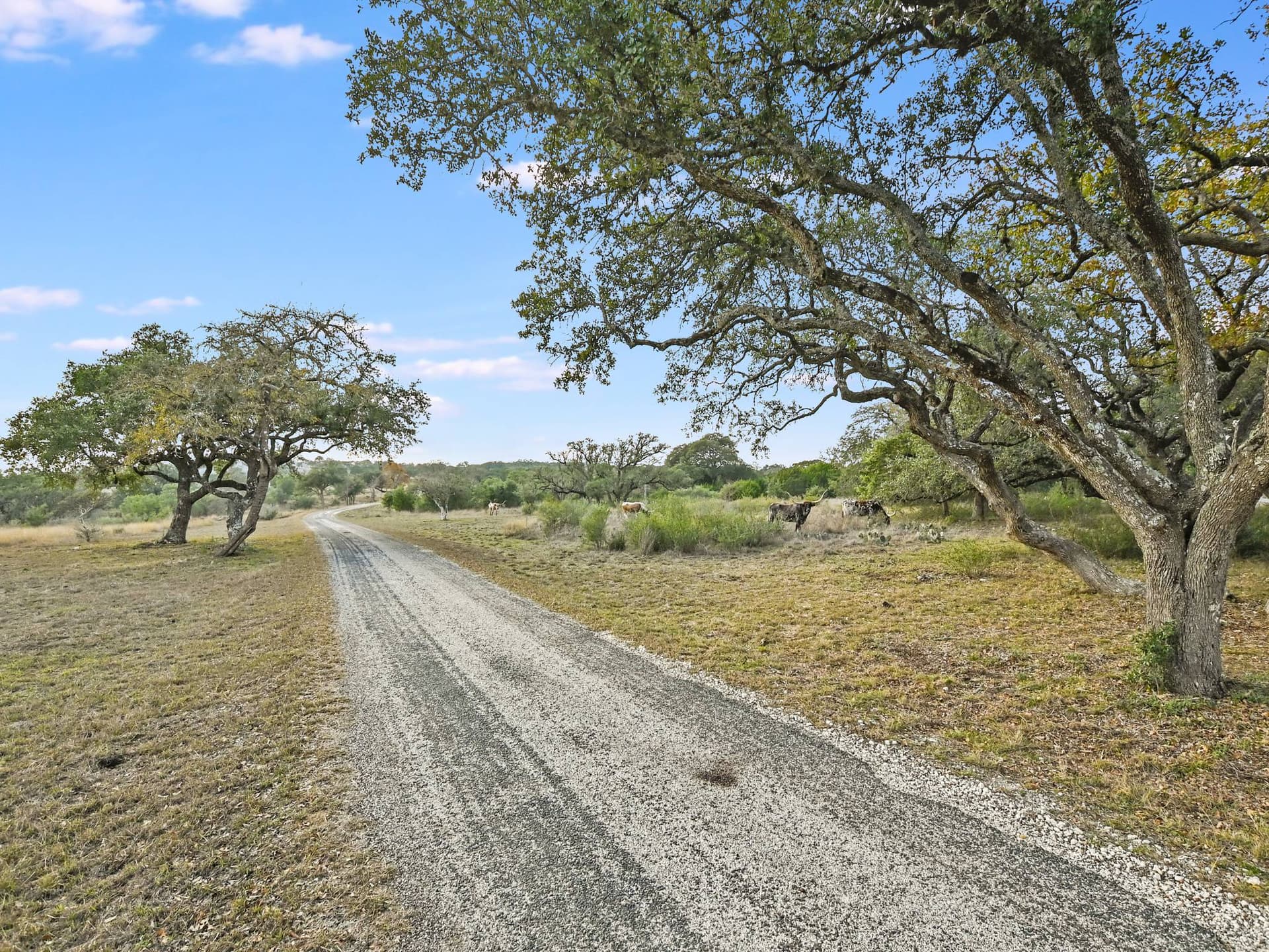 Freestone Ranch - Image 21