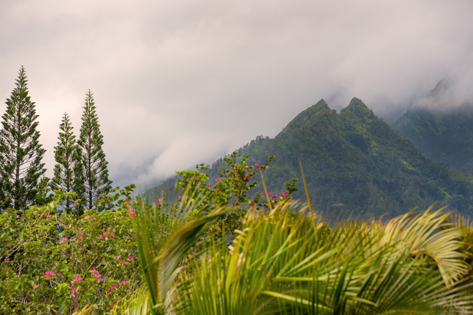 Hihimanu House - Image 25