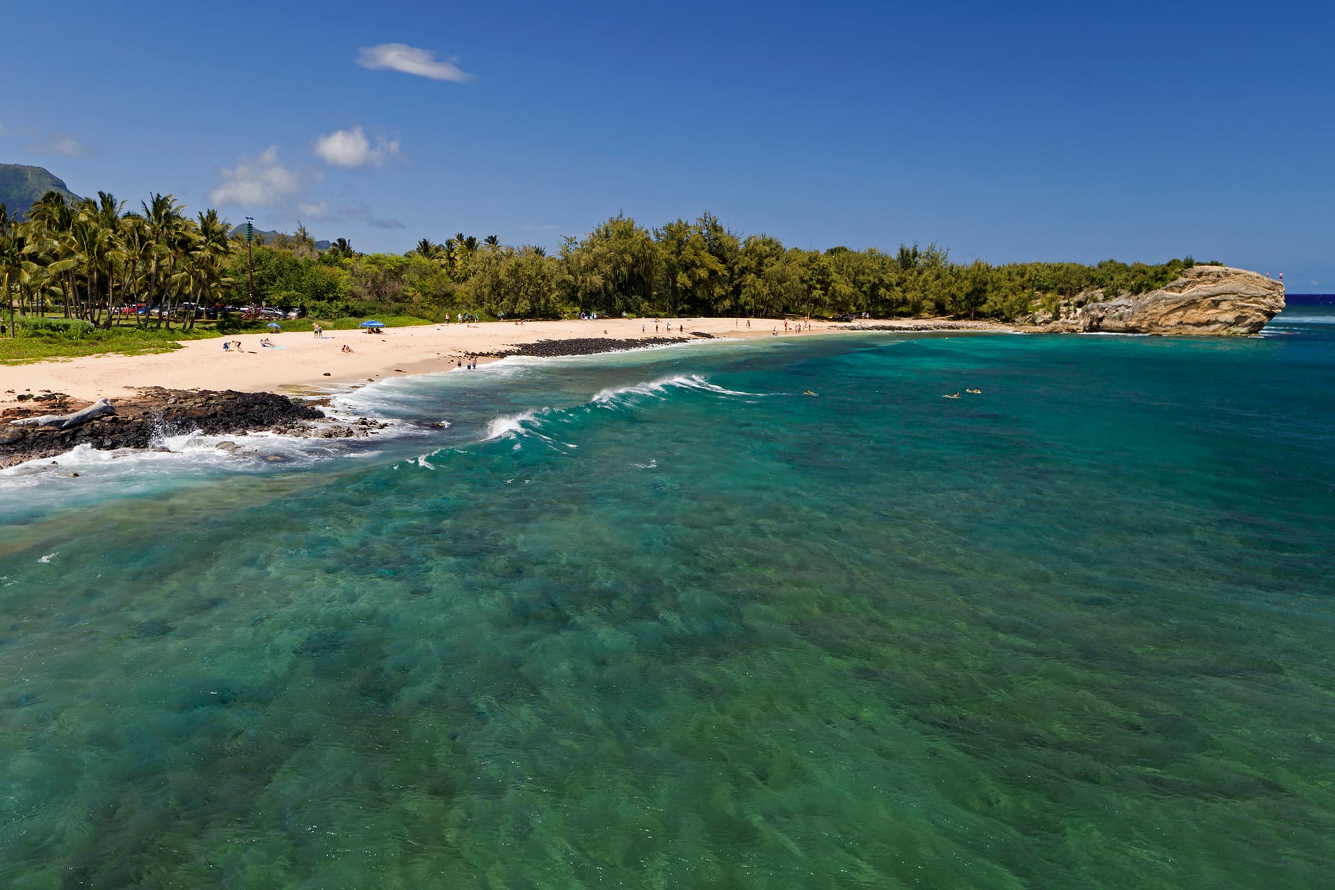 Hiki Moe Hale - Image 30