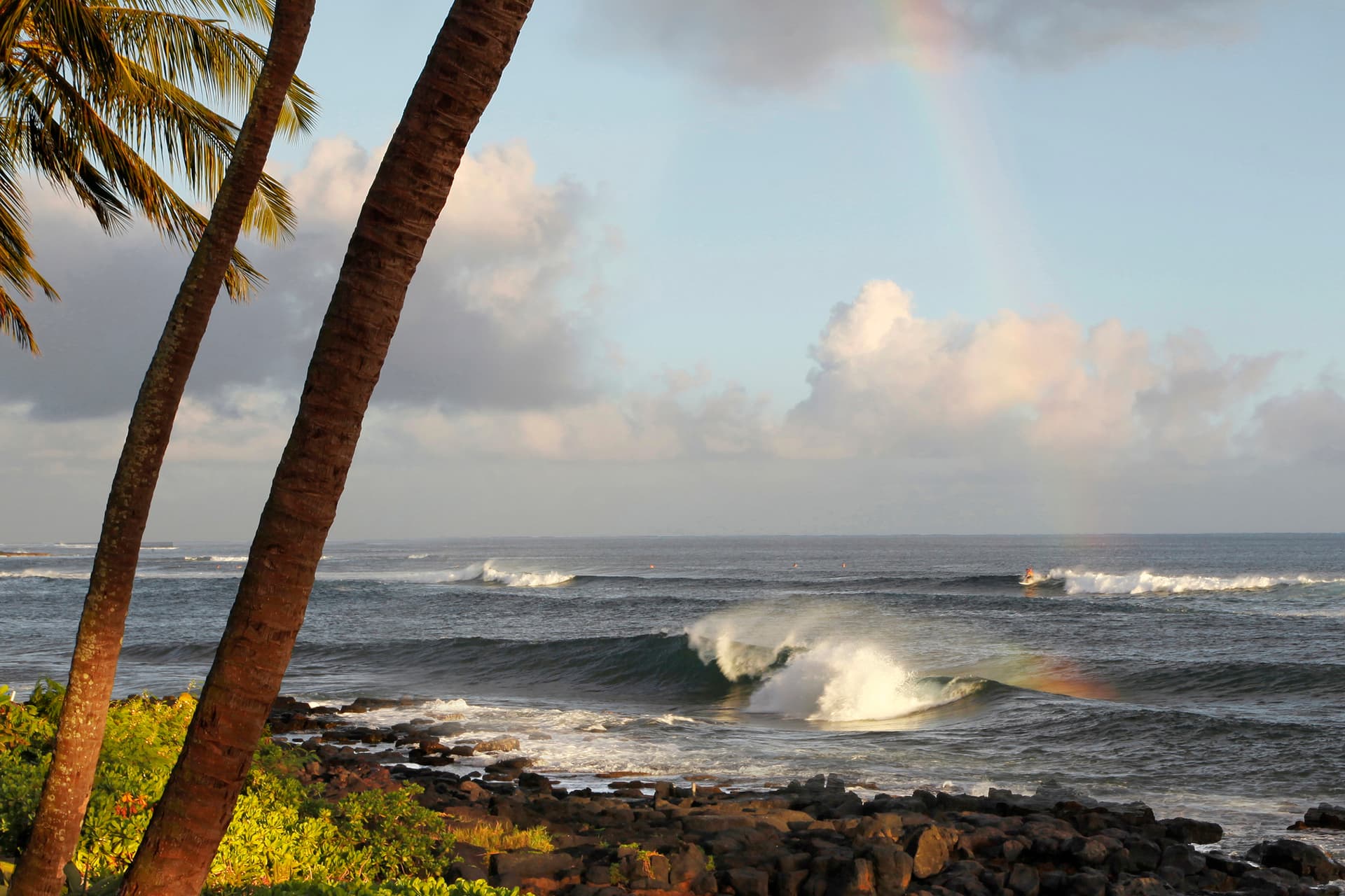 Hiki Moe Hale - Image 35