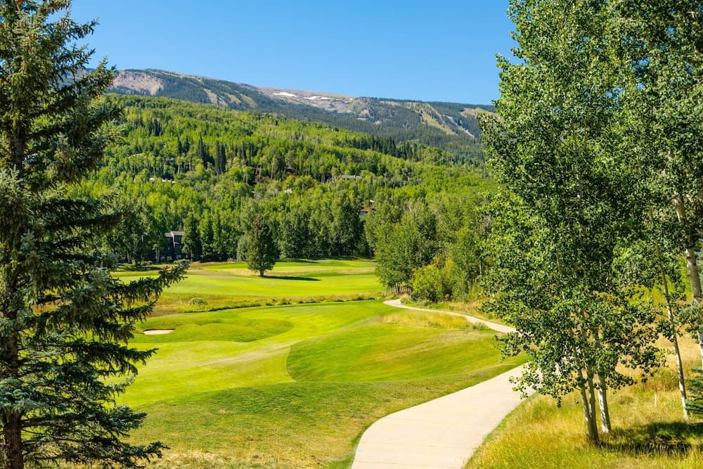 Homestead Townhome - Image 3