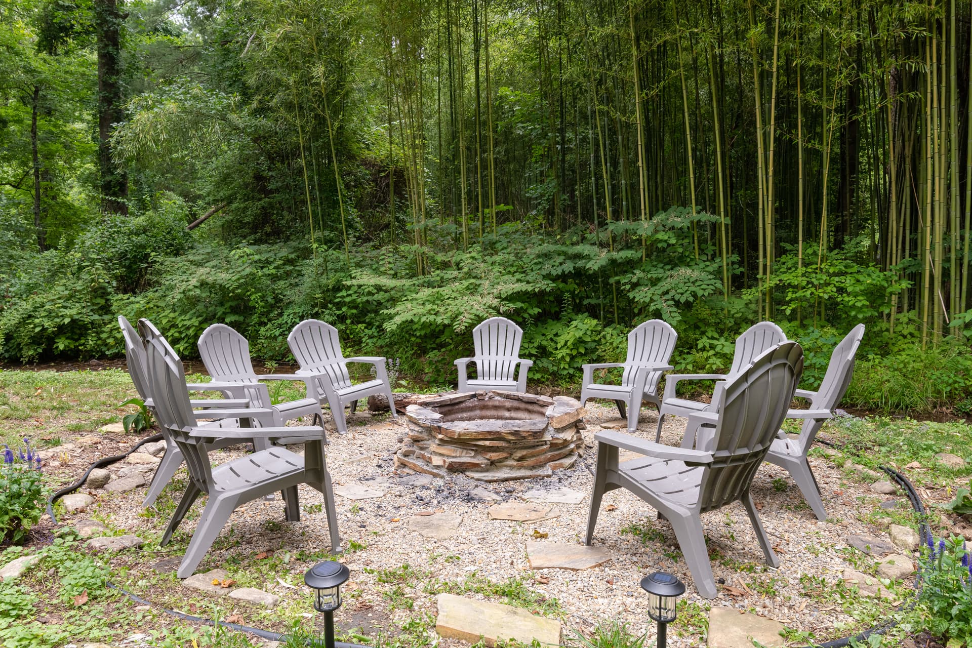 Hoopers Creek Cottage - Image 3