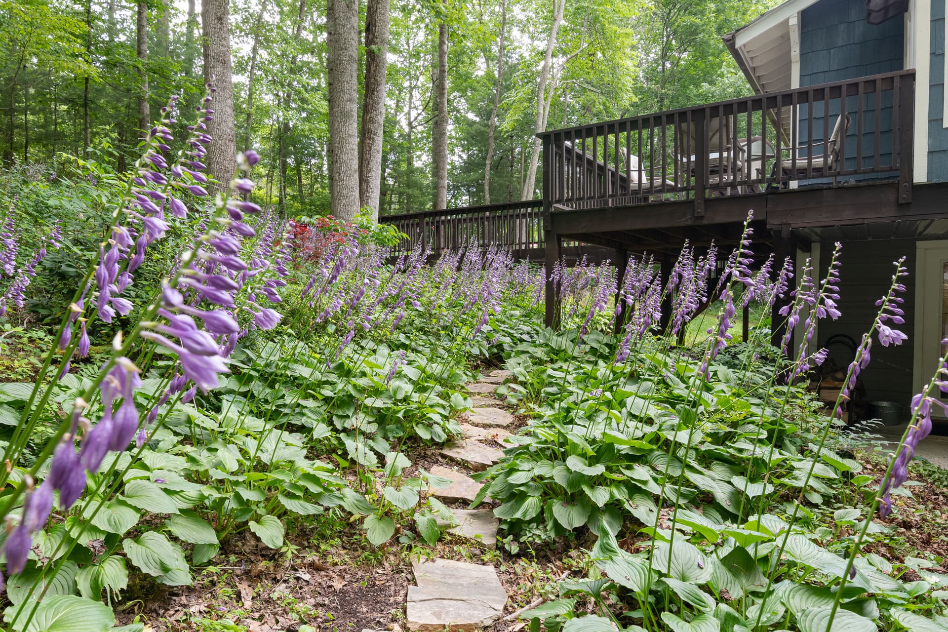 Hoopers Creek Cottage - Image 29