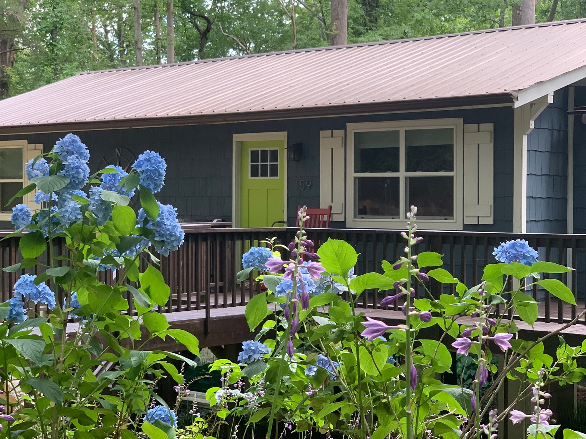 Hoopers Creek Cottage - Image 35