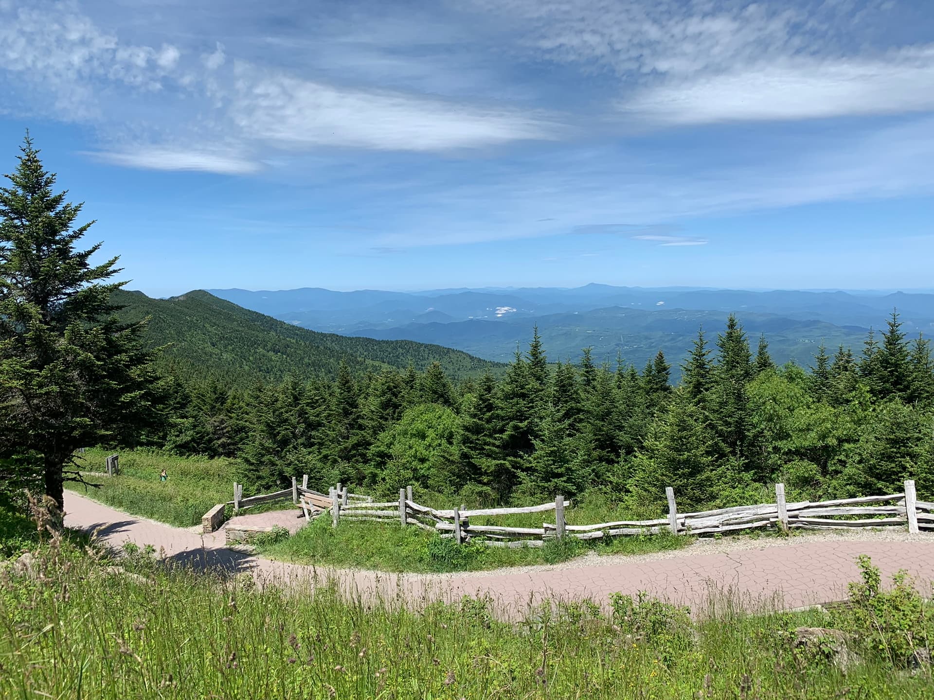 Hoopers Creek Cottage - Image 36