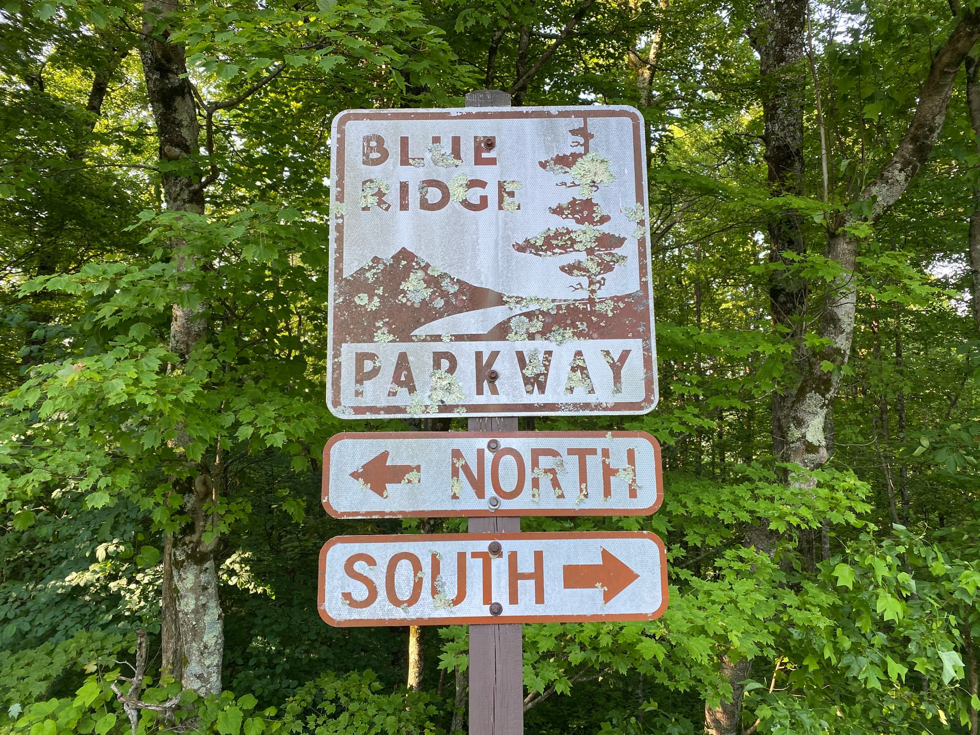 Hoopers Creek Cottage - Image 39