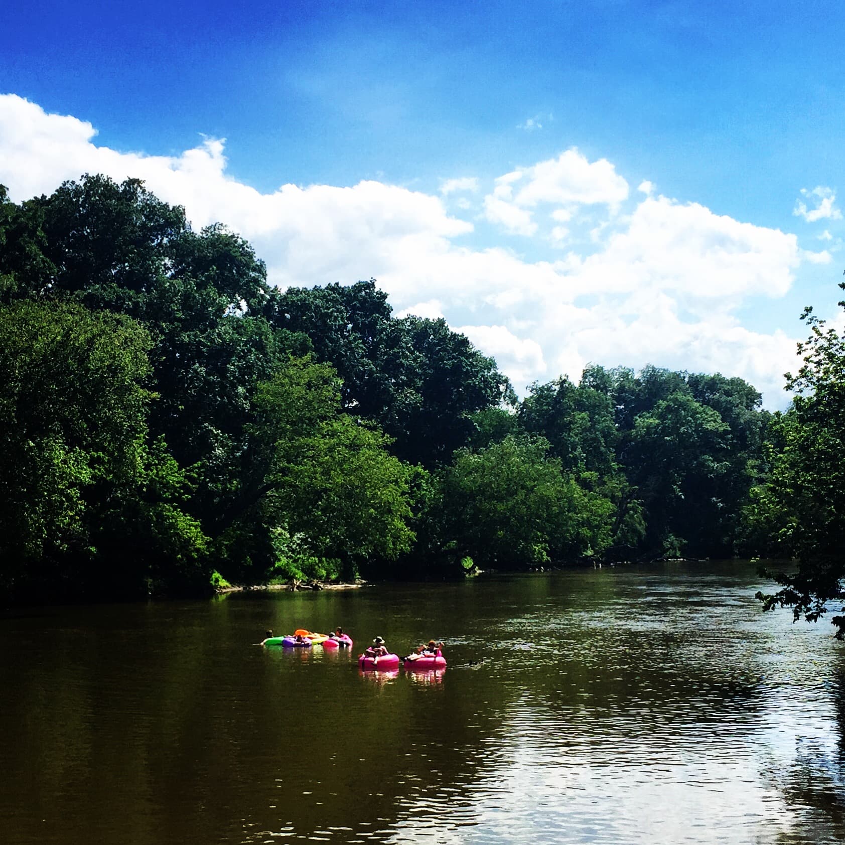 Hoopers Creek Cottage - Image 42