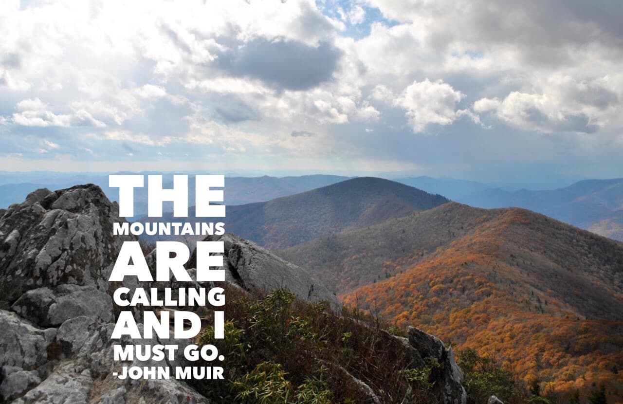 Hoopers Creek Cottage - Image 45