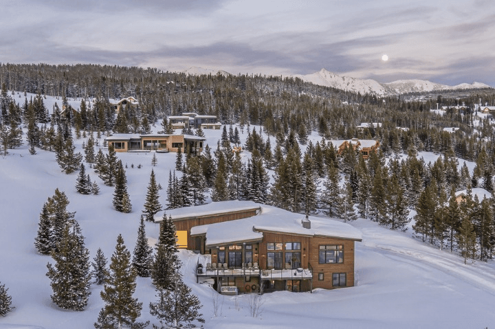 Swift Bear #23 - Image 2