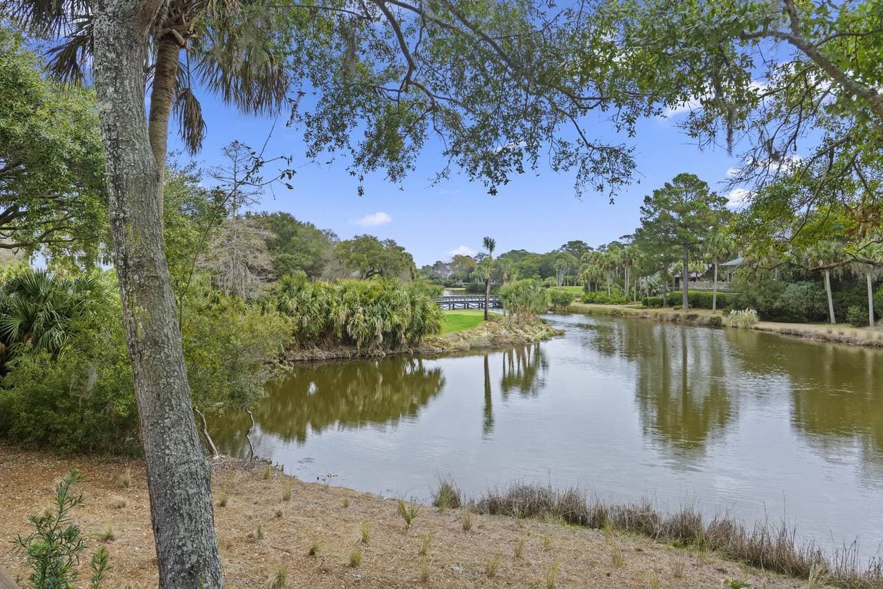 Bluebill Court - Image 46