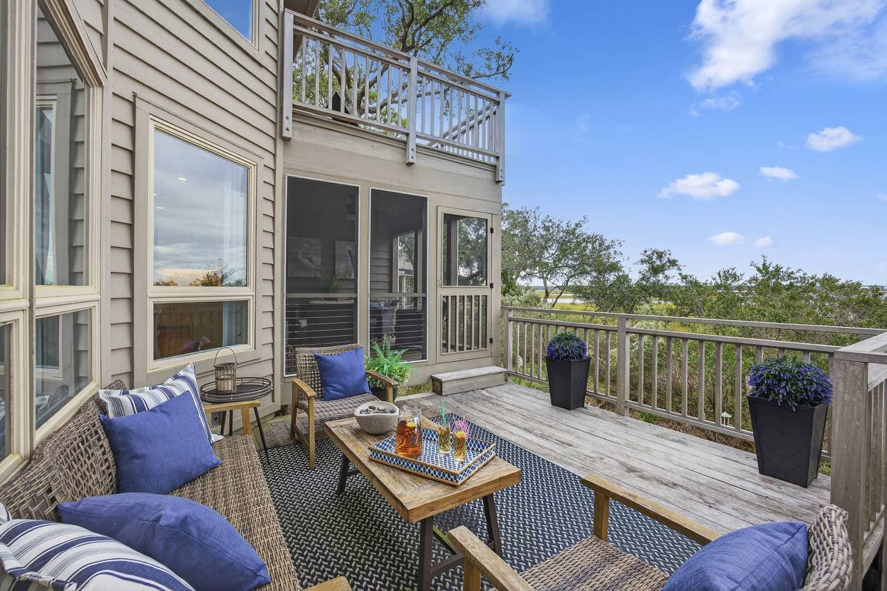 Marsh Hawk - Image 35