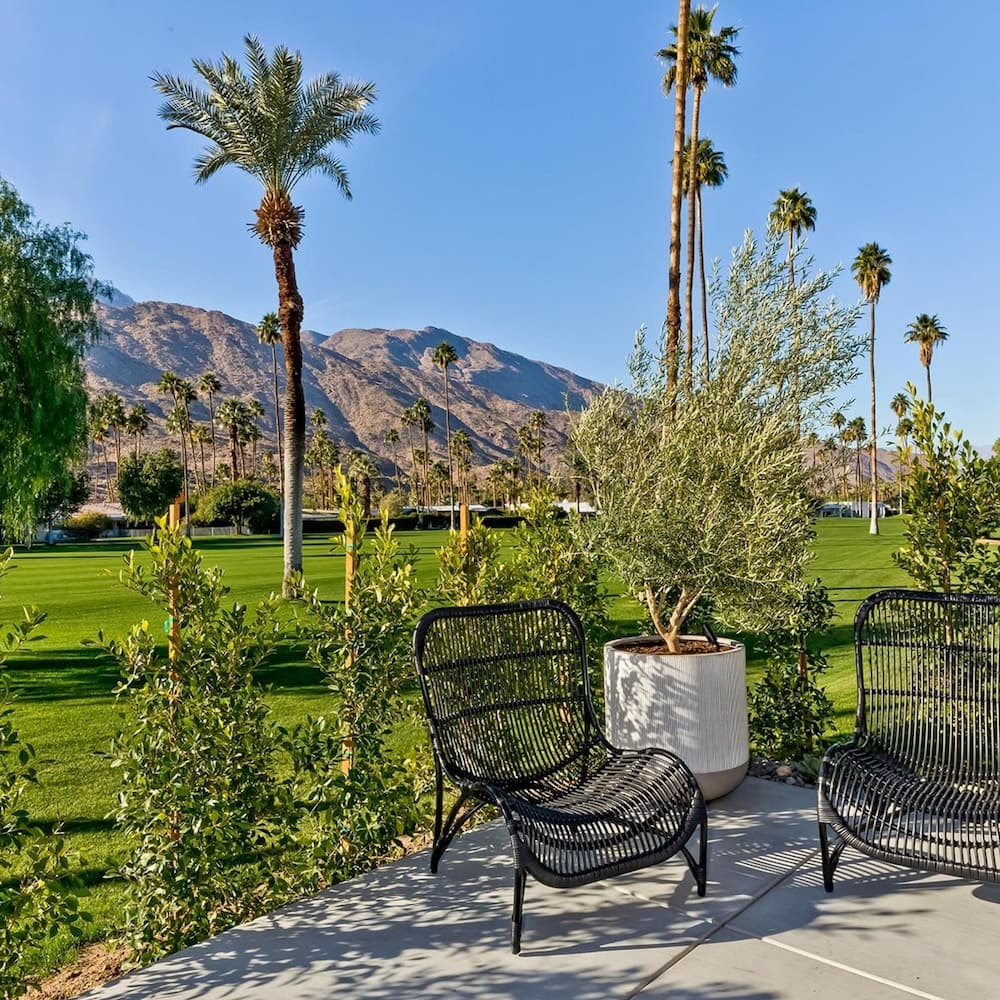 Indian Canyon Oasis - Image 33