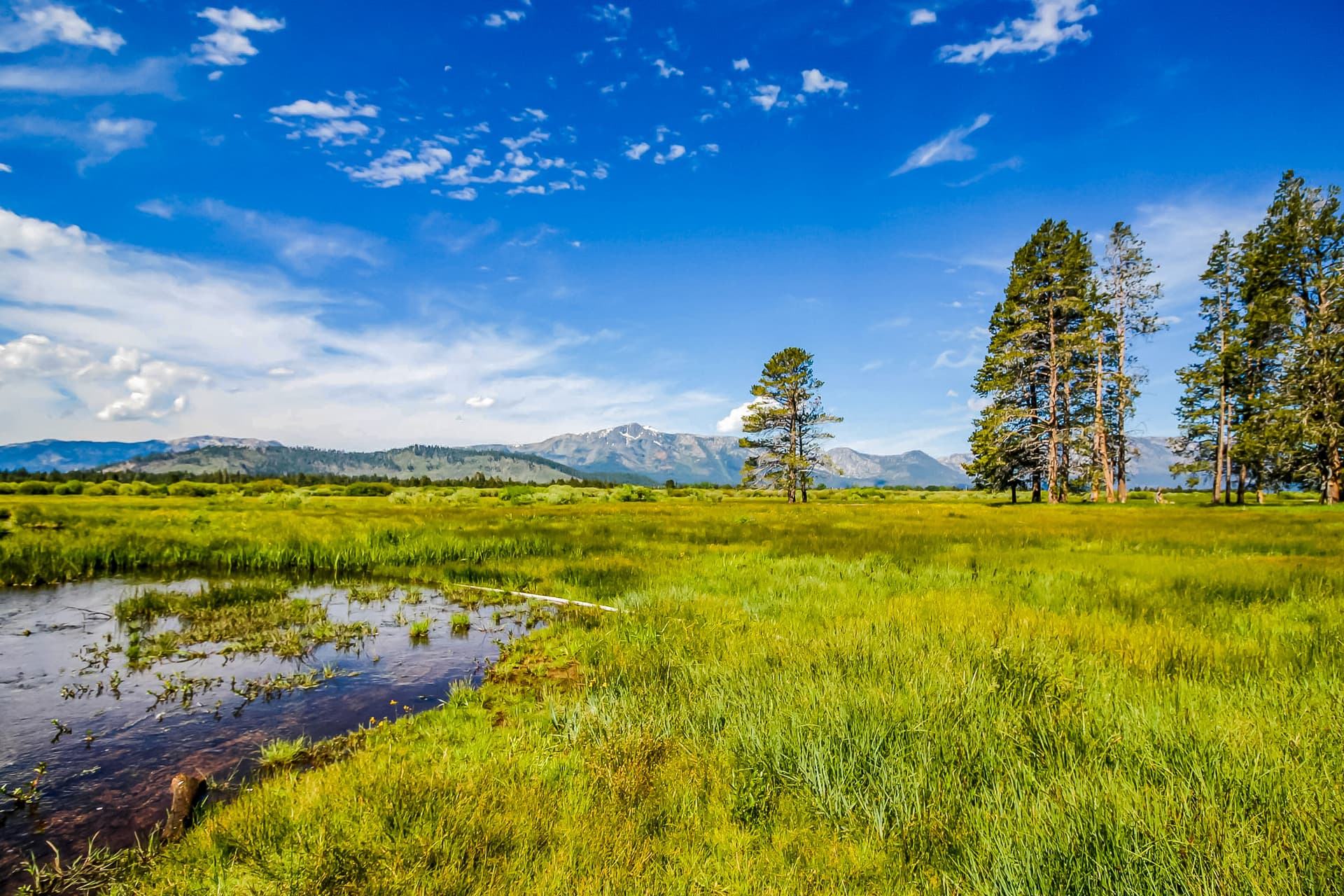 Susquehana Luxury House - Image 40