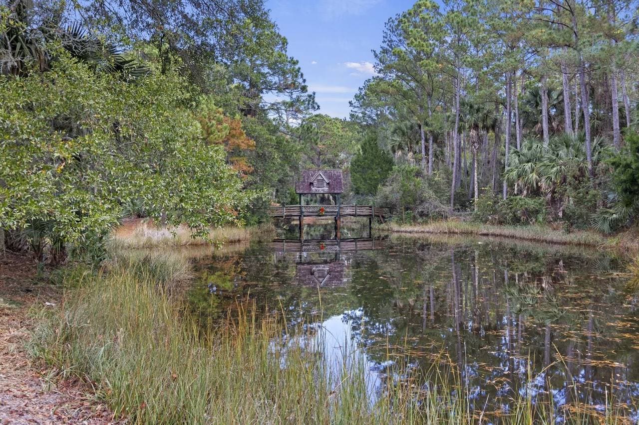 Blue Heron Pond - Image 59