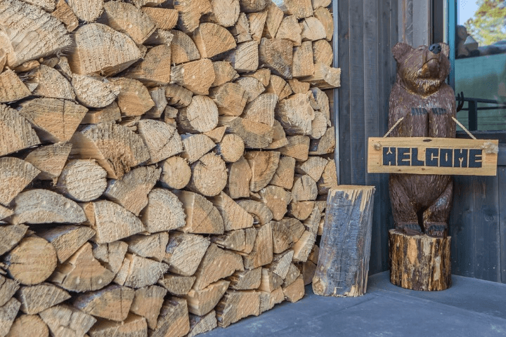 Swift Bear #23 - Image 39