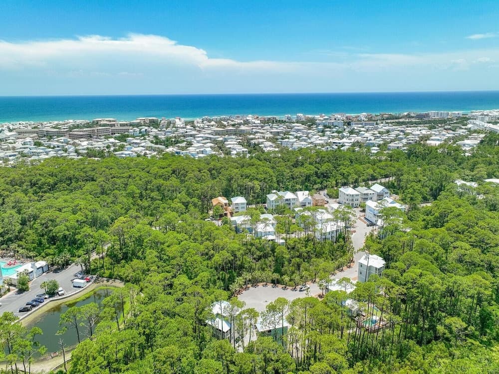 Joy of Life - Image 58