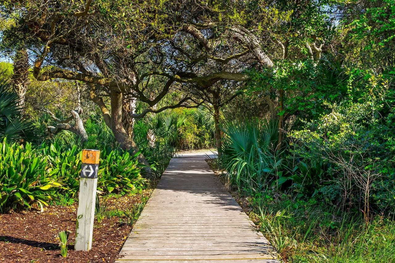 Atlantic Dream Retreat - Image 50