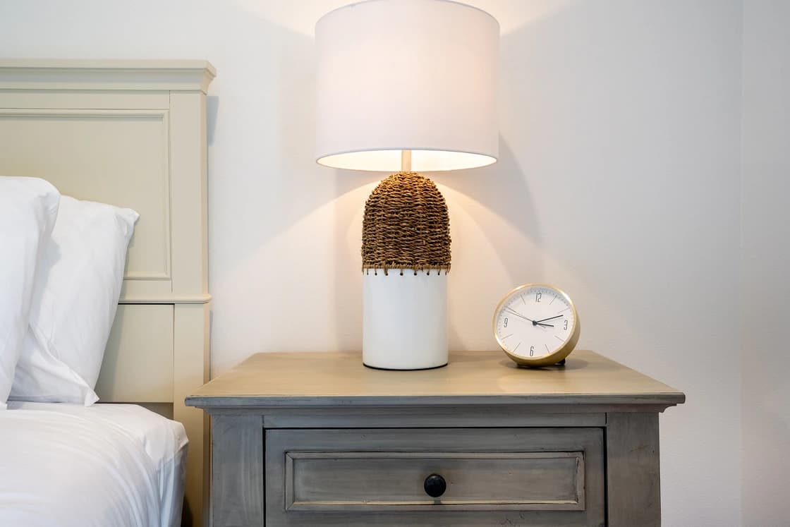 Dolphin Days - Image 11