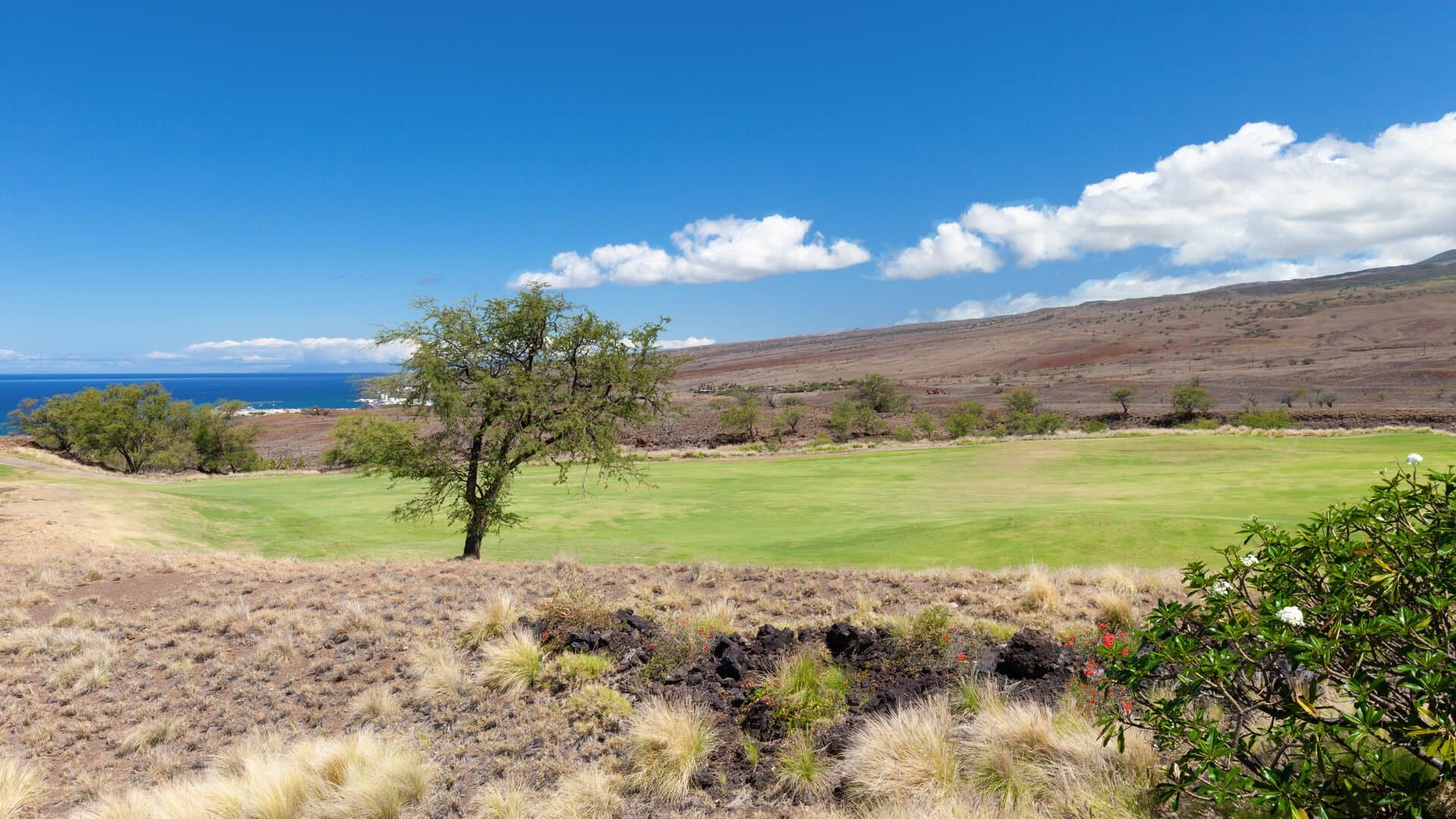 Endless Ocean Views - Image 44