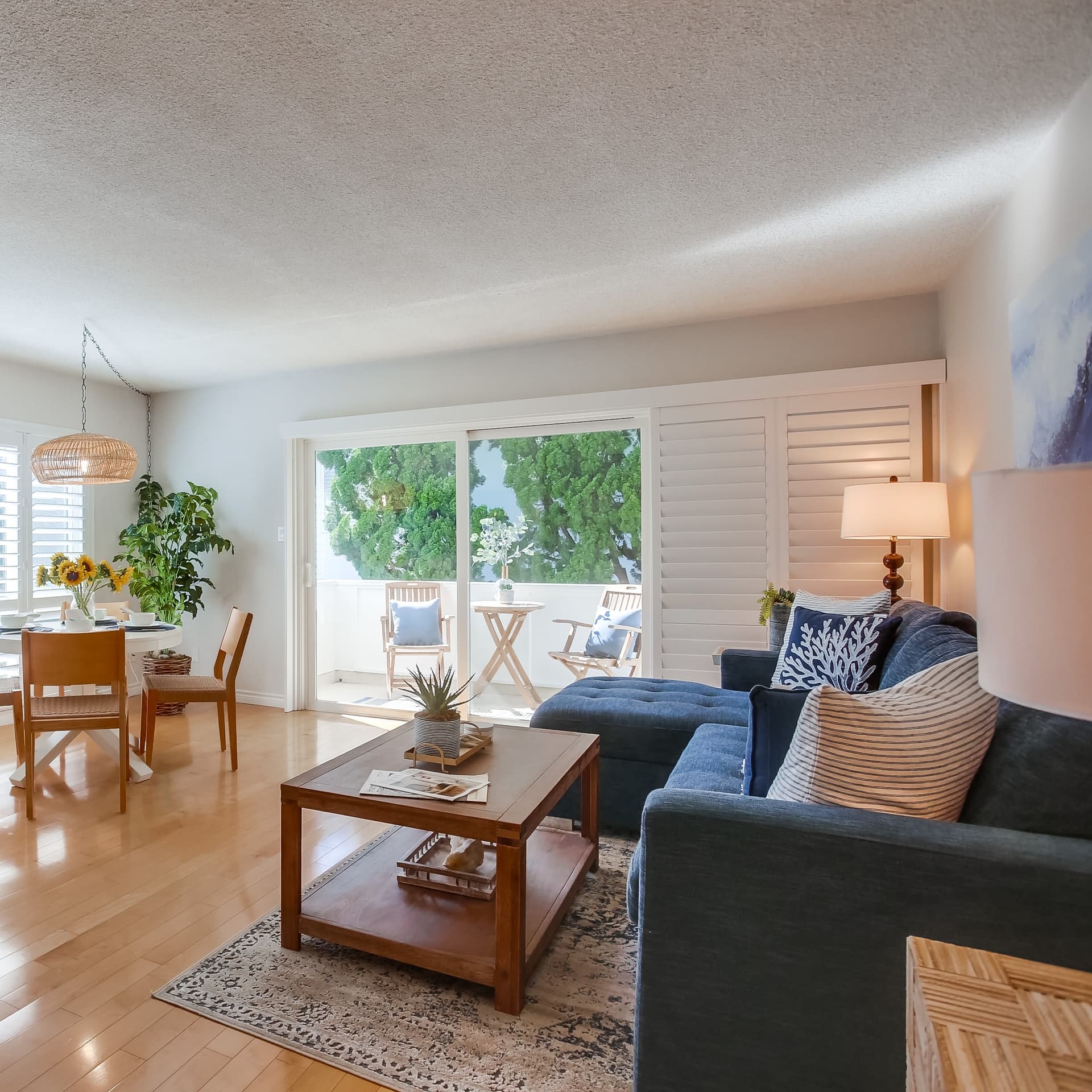 Coastal Gem - Image 1