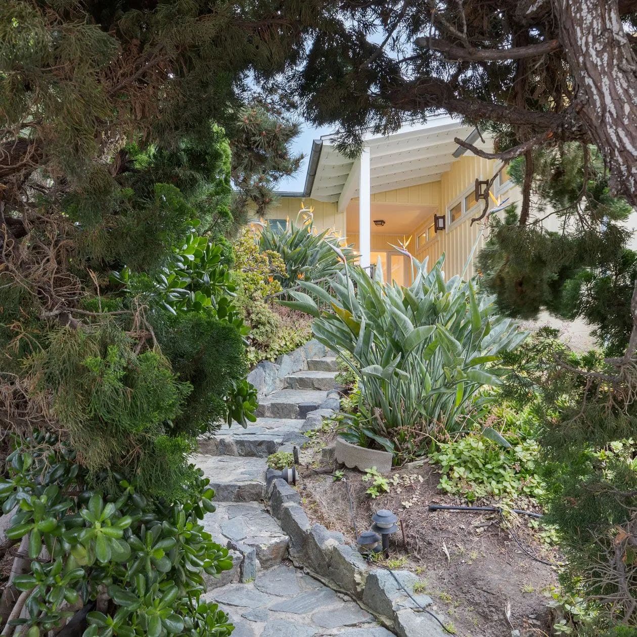 La Jolla Living - Image 34