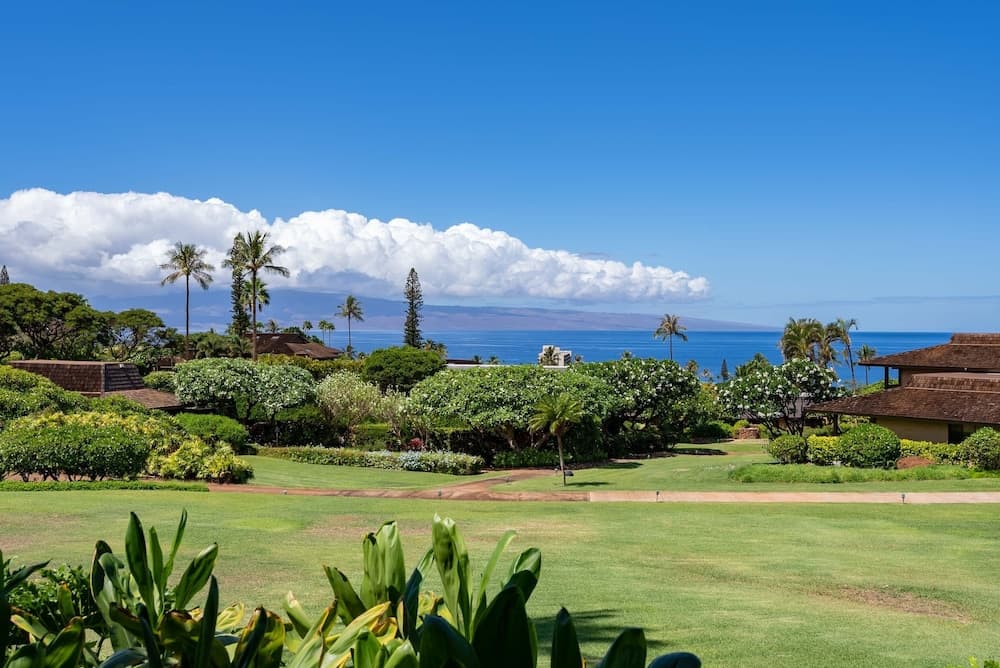 Kaanapali Plantation #3 - Image 39