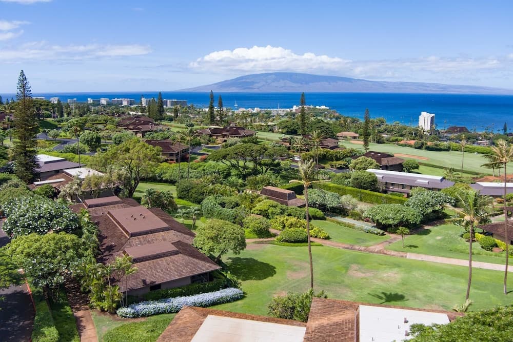 Kaanapali Plantation #3 - Image 45