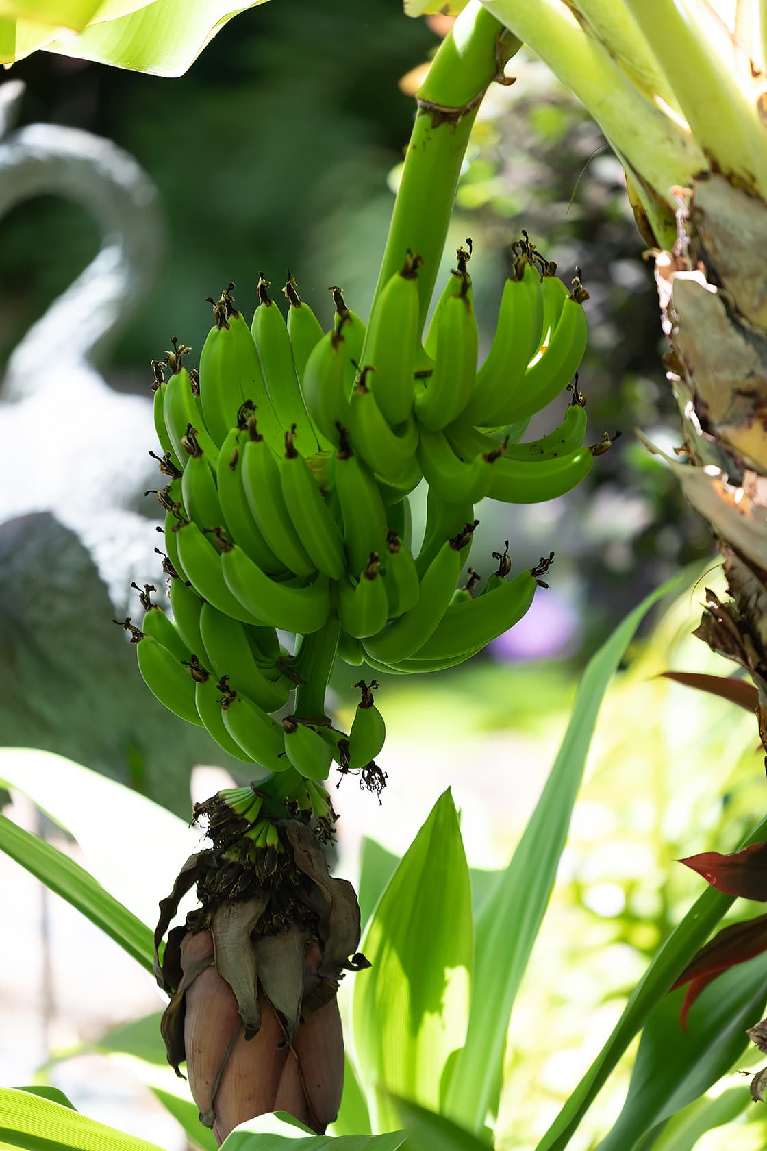 Kailua Shore Estate - Image 53