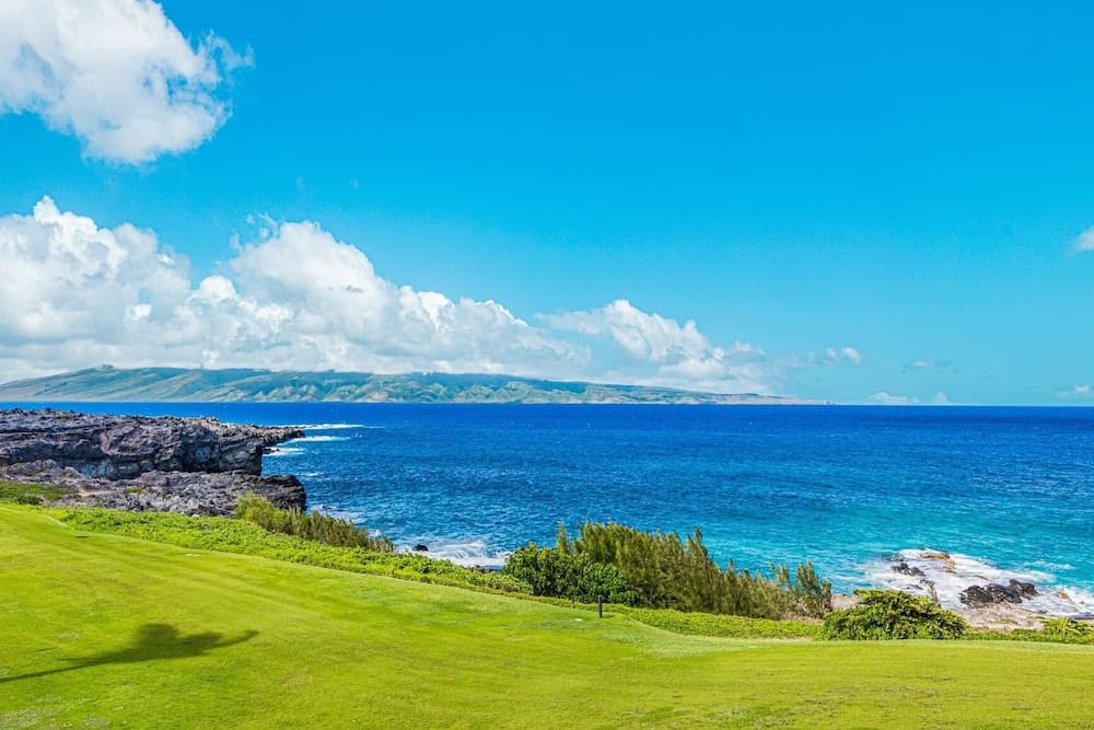 Kapalua Bay Villa #23G1 - Image 38