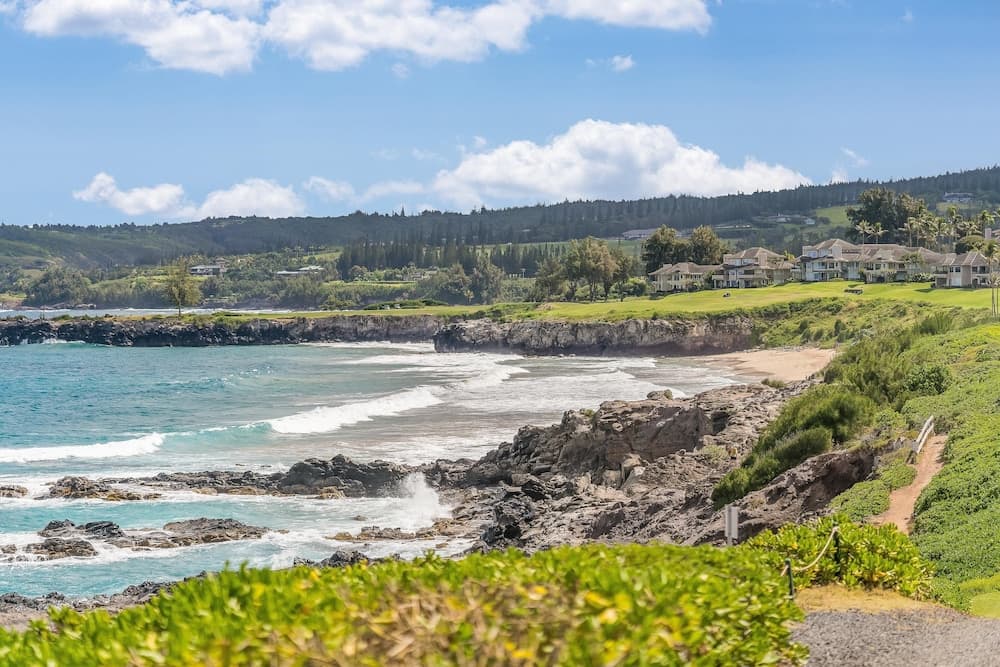 Kapalua Ridge Villas #1023 - Image 51