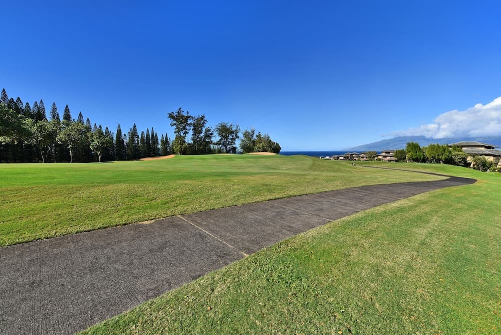 Kapalua Ridge Villas #1414 - Image 36
