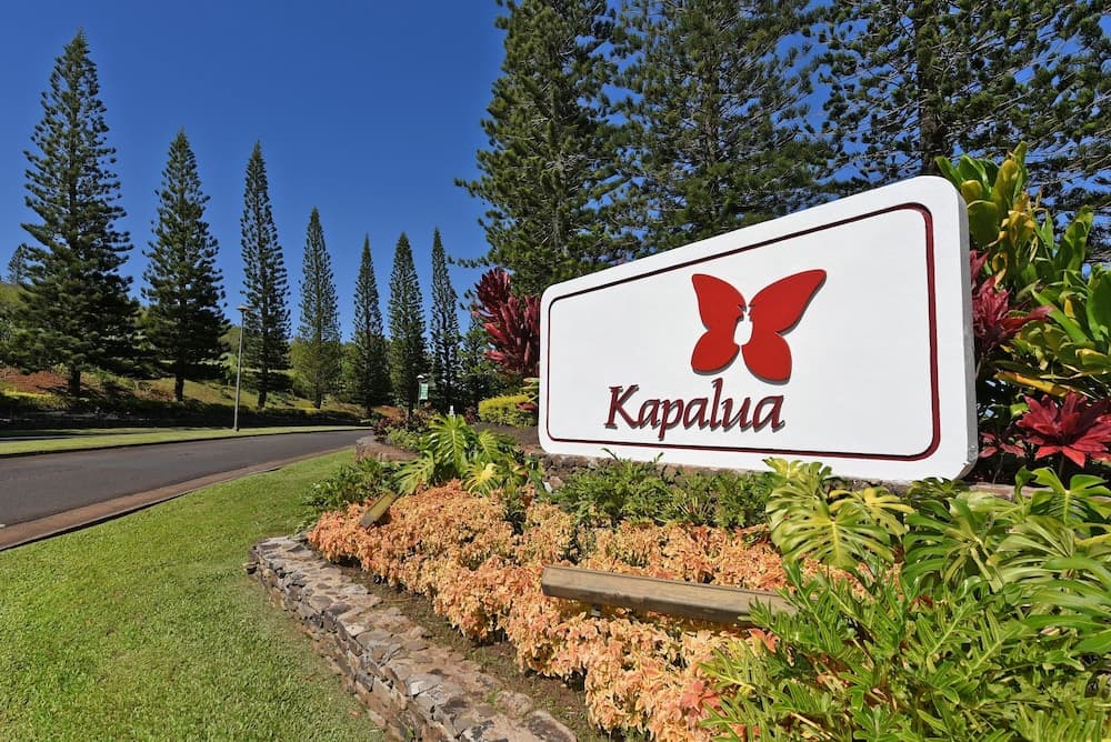 Kapalua Ridge Villas #1414 - Image 45