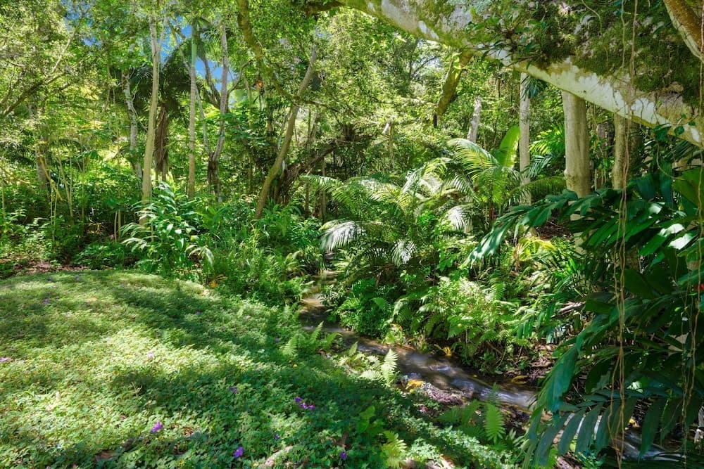 Kapiolani - Image 49