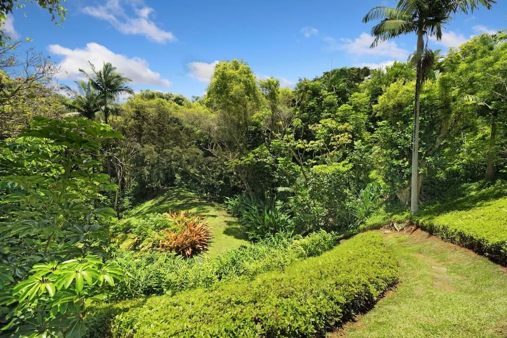 Kapiolani - Image 50