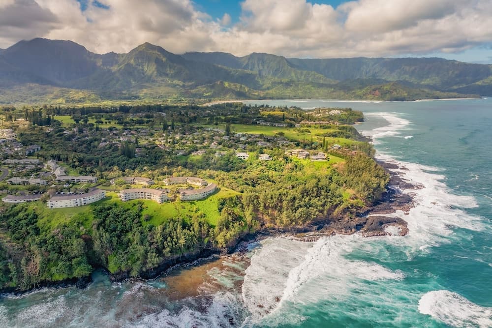 Kapiolani Villa - Image 24