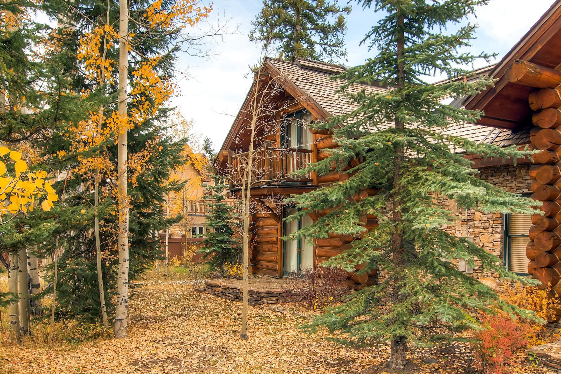 Wild Cat Lair - Image 29