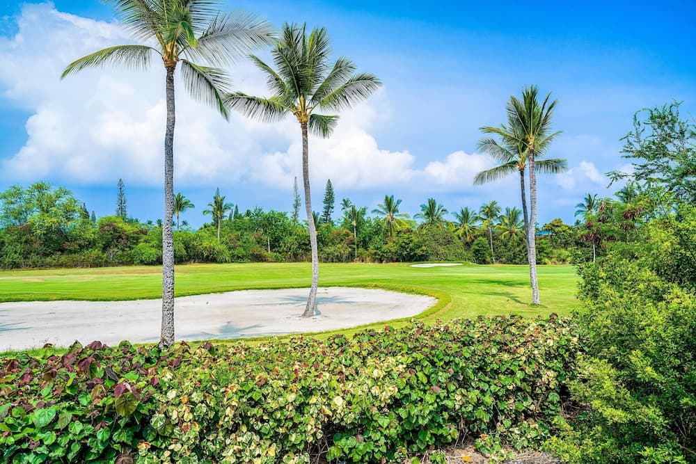 Keauhou Punahele #E-102 - Image 25