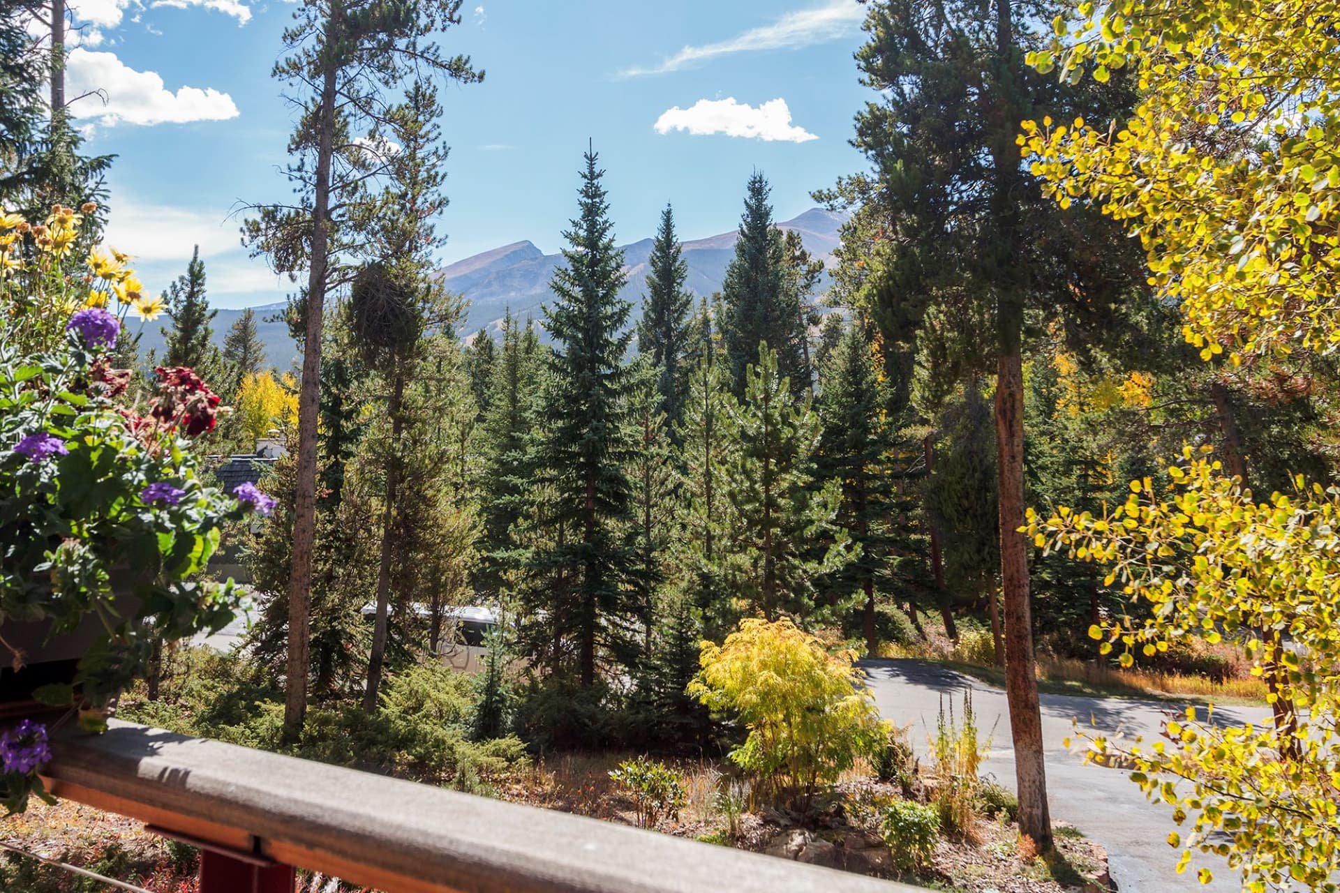 Royal Tiger Retreat - Image 30