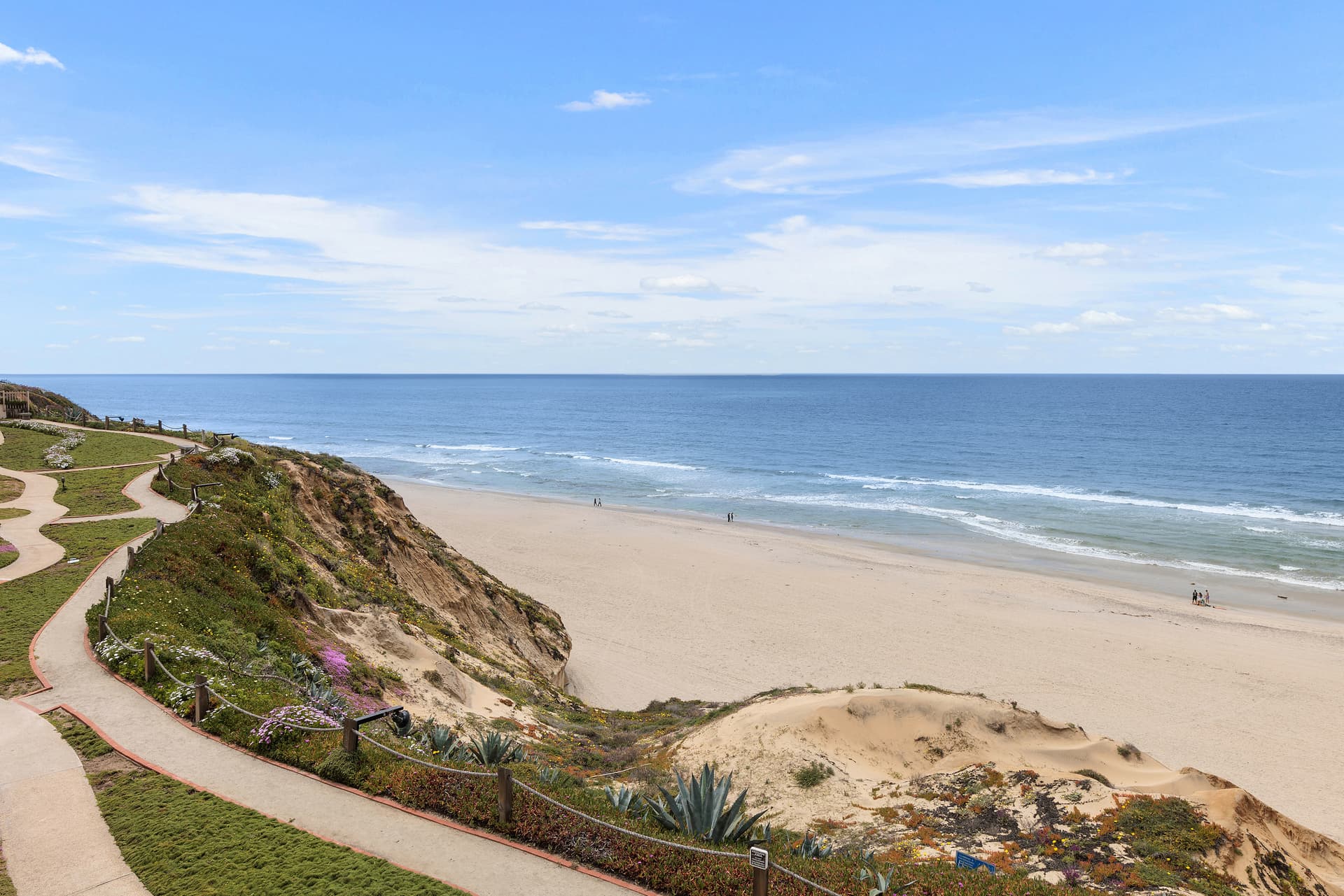 King of the Beach - Image 2