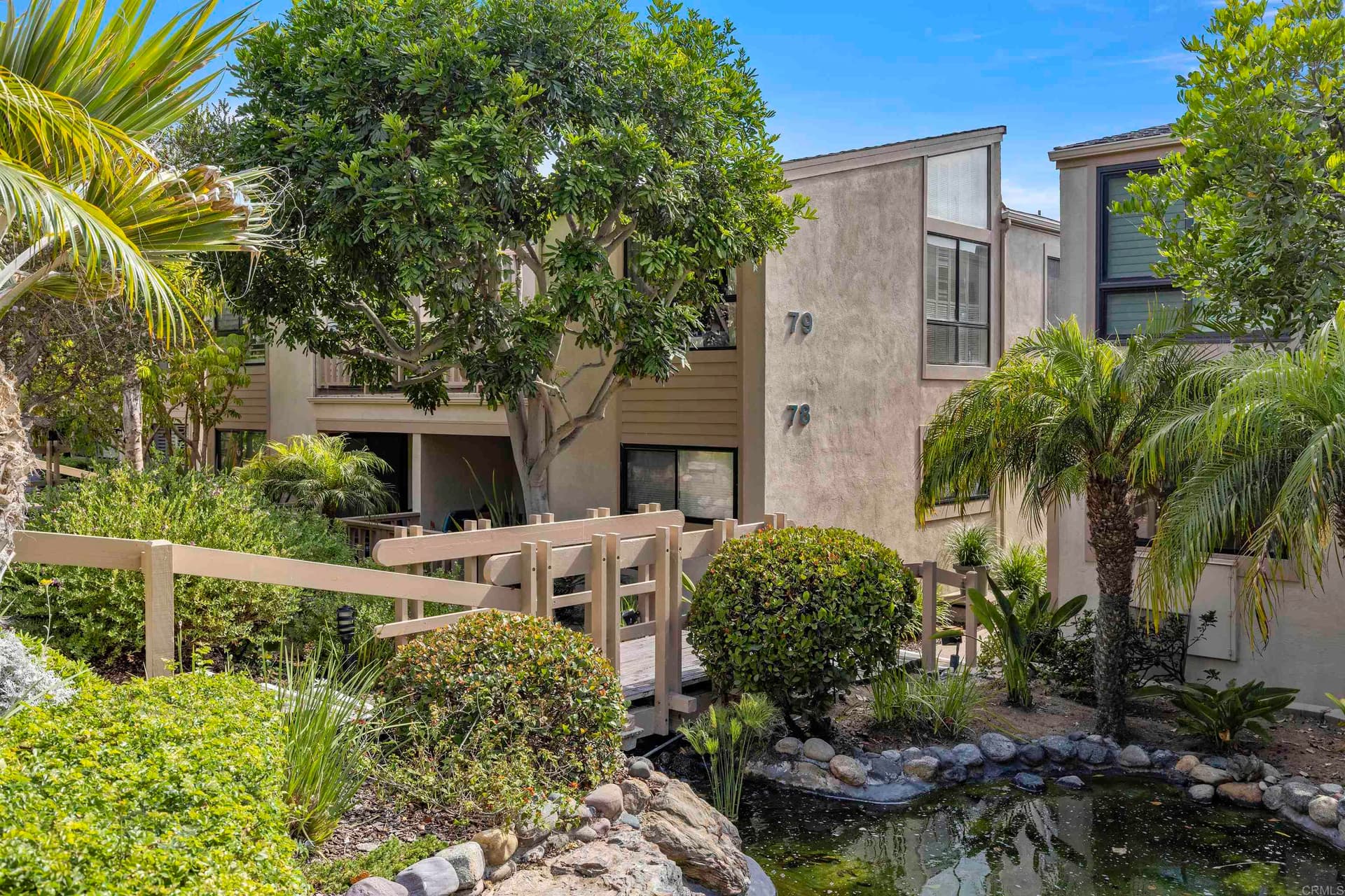 King of the Beach - Image 25