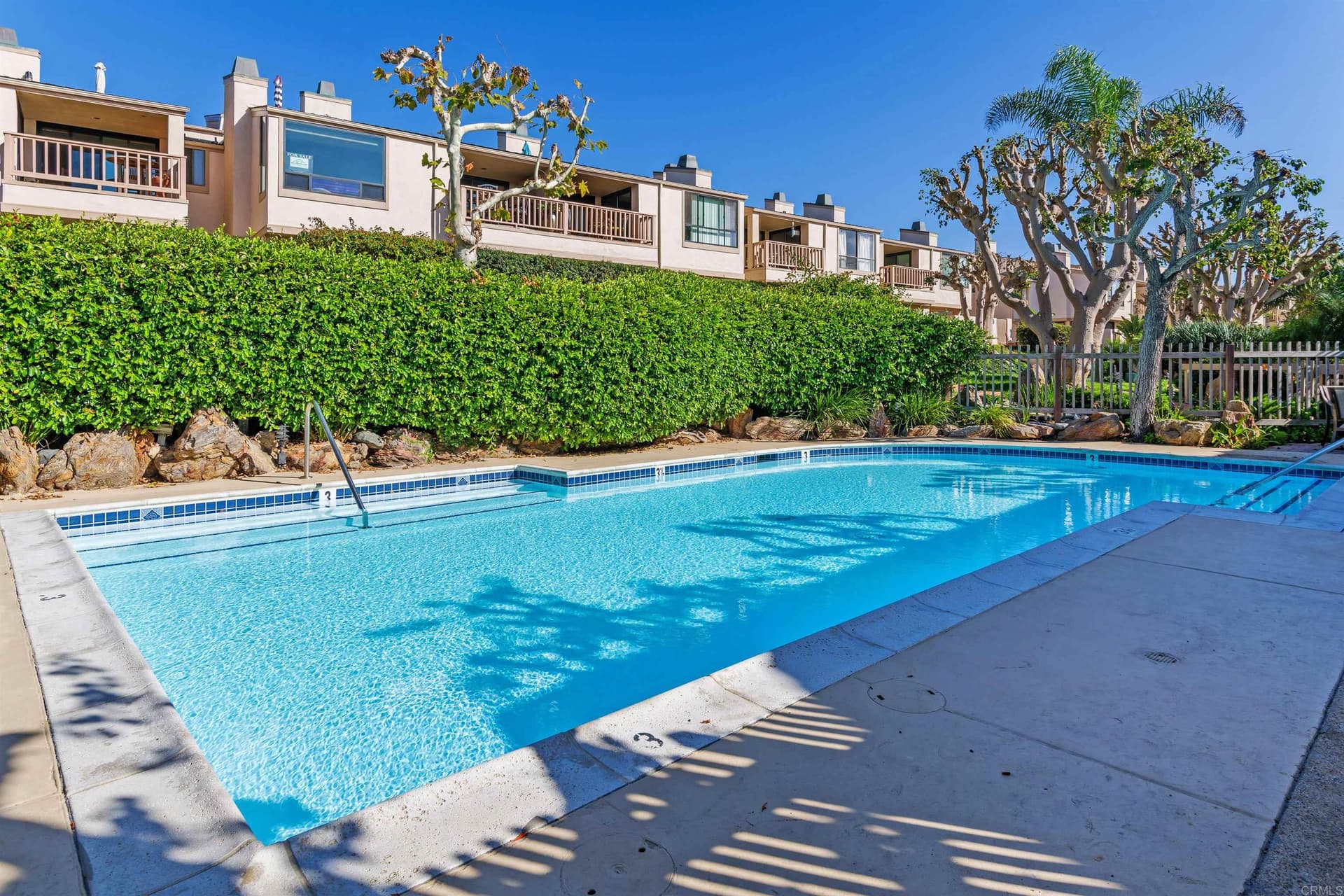 King of the Beach - Image 26