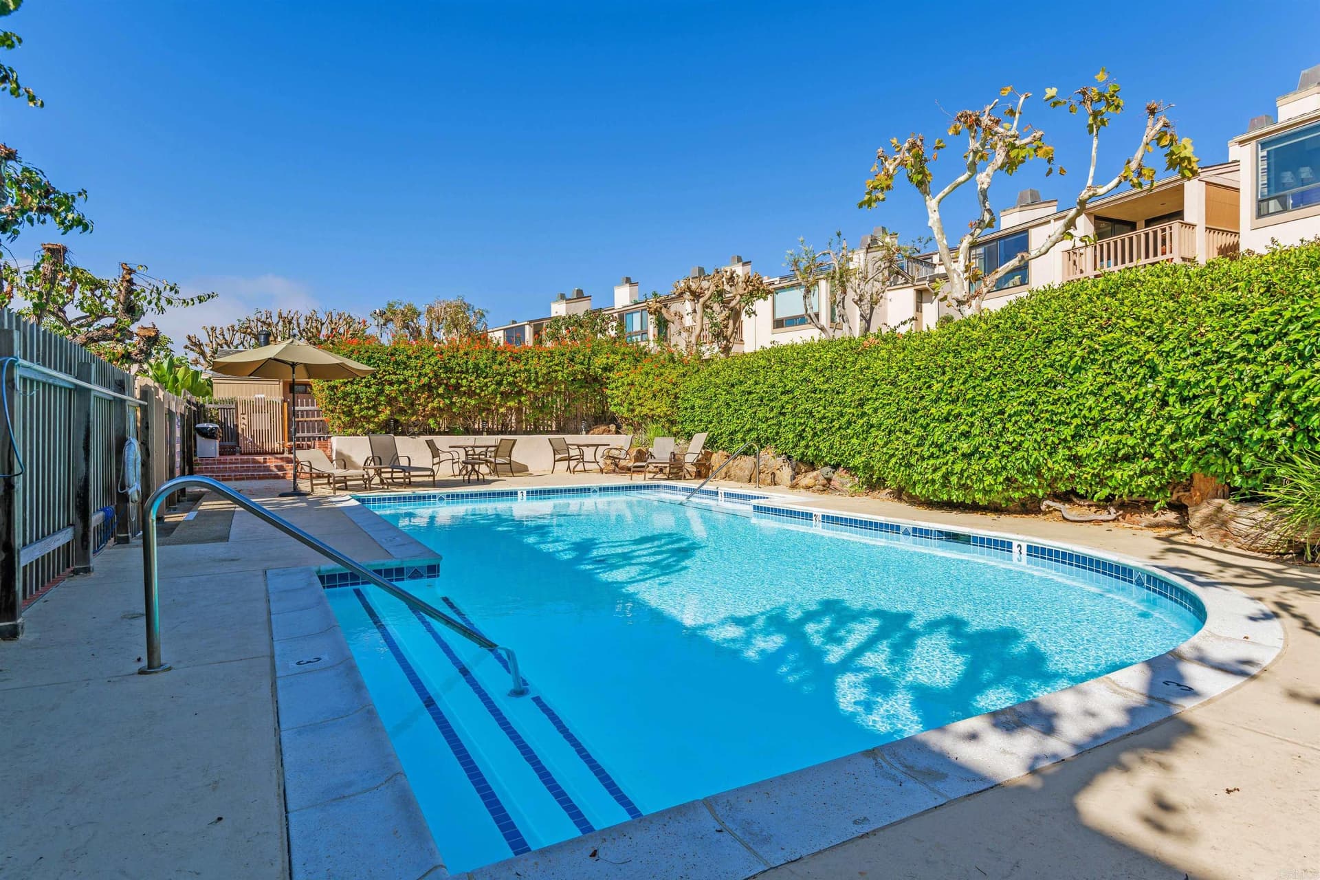 King of the Beach - Image 27