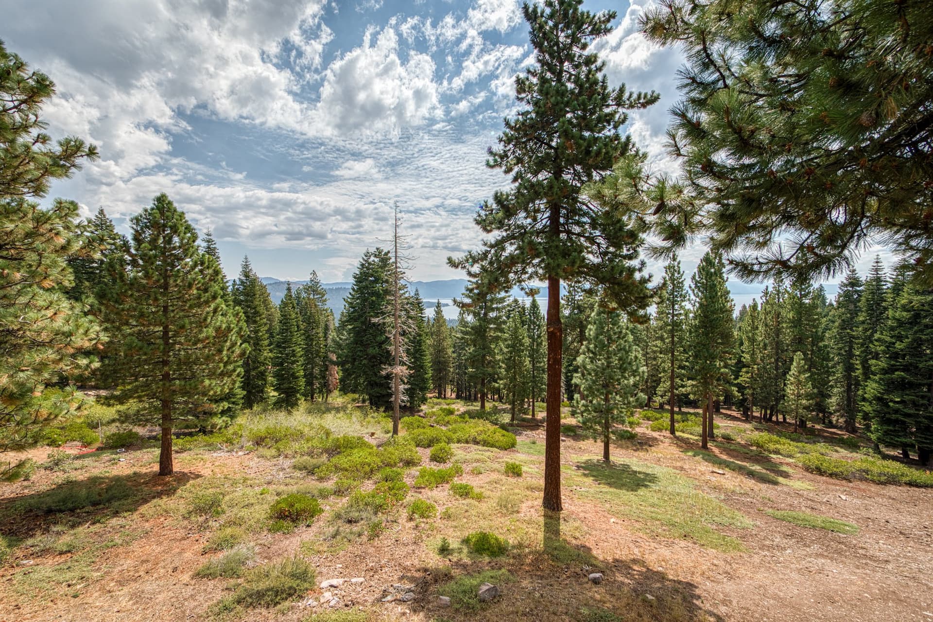 Kings Way Lake View - Image 23