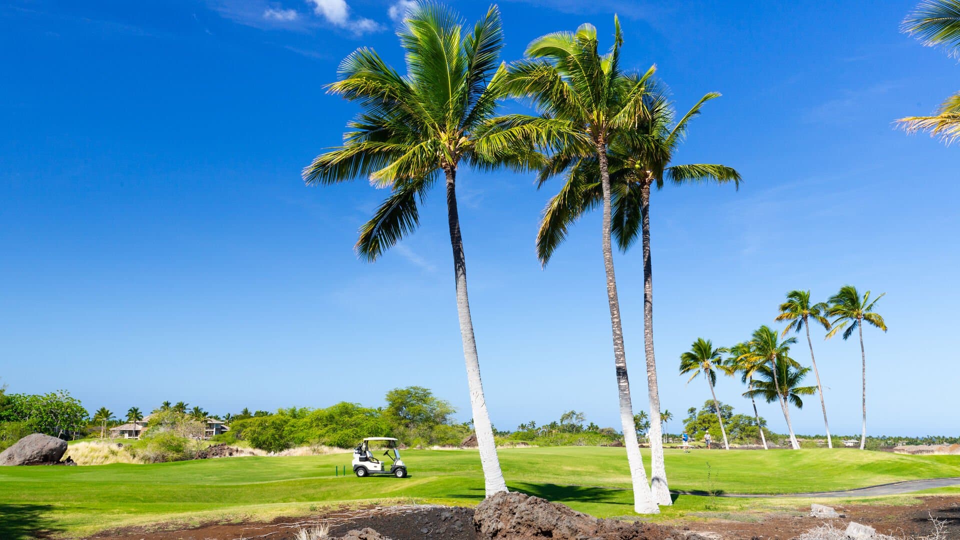 Family Tides - Image 50