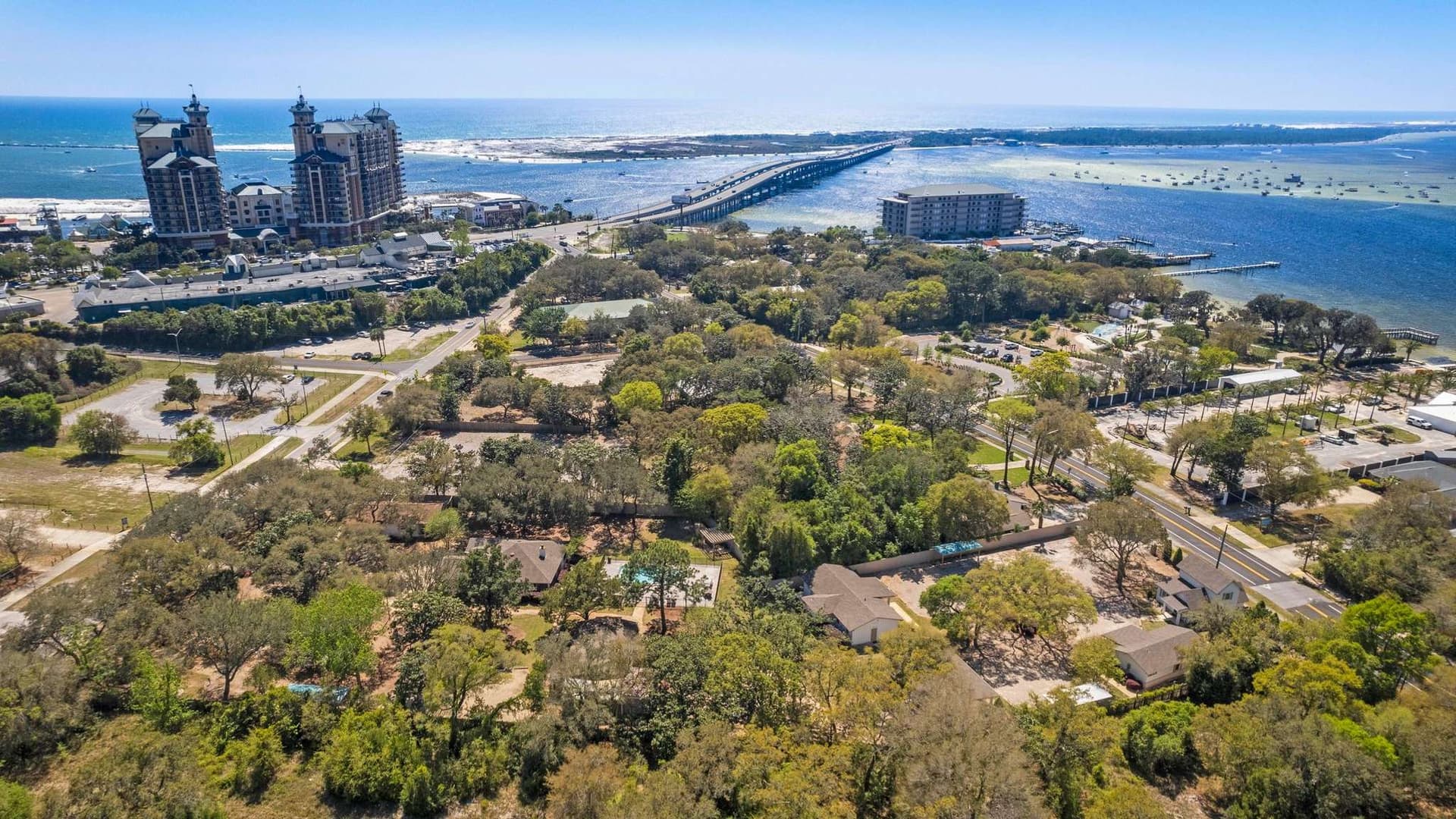 Family Tradition - Image 38