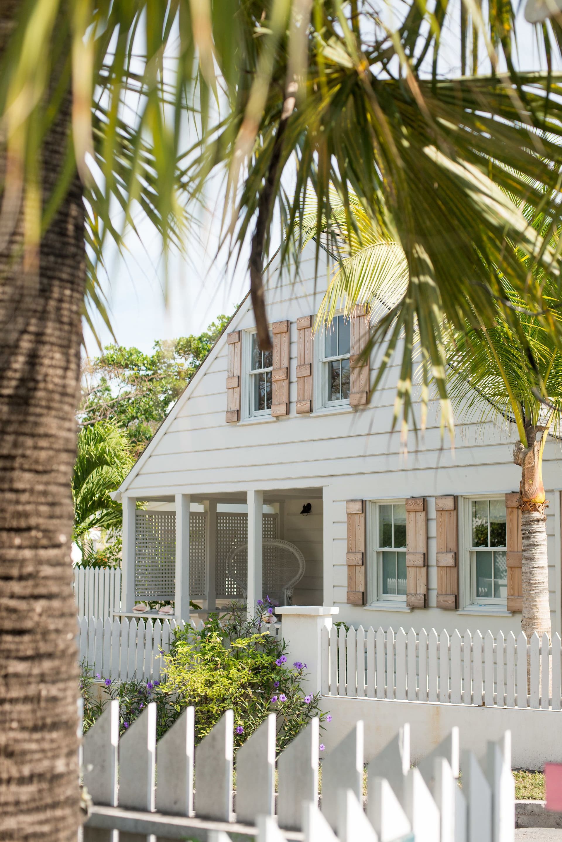 Conch Shell Harbour Island - Image 2