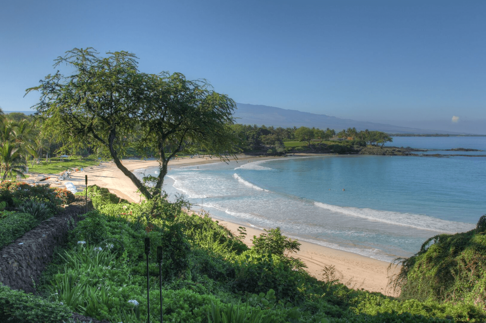 Ohana Time - Image 74